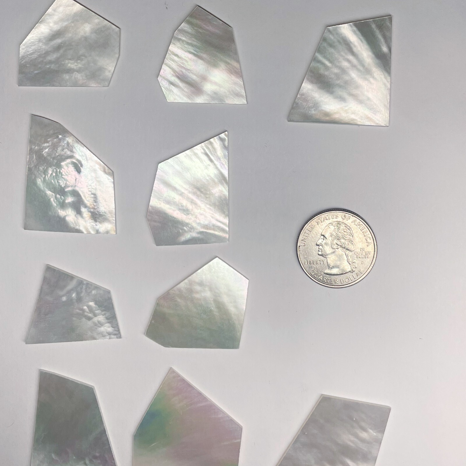 (4 oz) WHITE LARGE Mother of Pearl Shell Blanks .040\