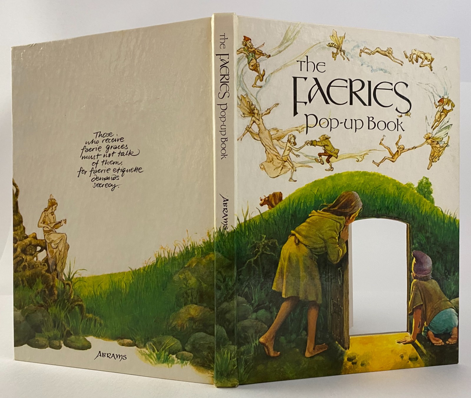 Brian Froud THE FAERIES POP UP BOOK 1980 hardcover Good Brian Froud THE FAERIES POP UP BOOK 1980 hardcover Good