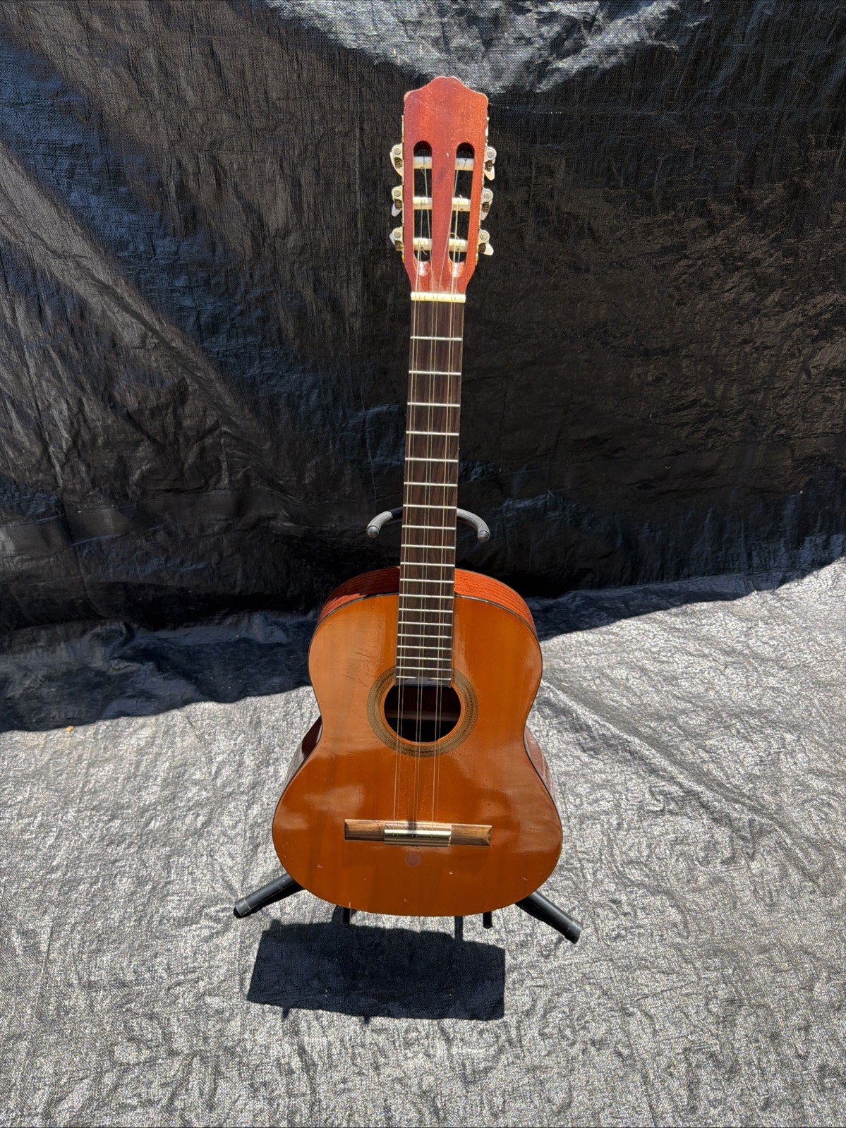 Cordoba Protege C1 Nylon String Classical Guitar 1/2 Sz AS SEEN Cordoba Protege C1 Nylon String Classical Guitar 1/2 Sz AS SEEN