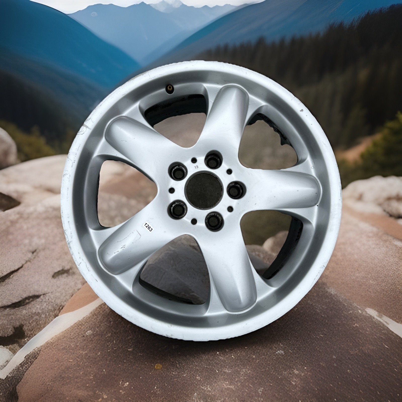 ✅ 2000-06 BMW X5 E53 Front Rear Alloy Wheel Rim 5-Spoke 18x8.5 1096160-13 OEM ✅
