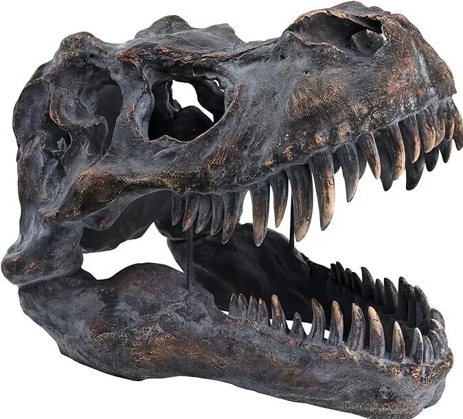 Giant Tyrannosaurus Rex Dinosaur Skull Fossil - High Quality - Brand New