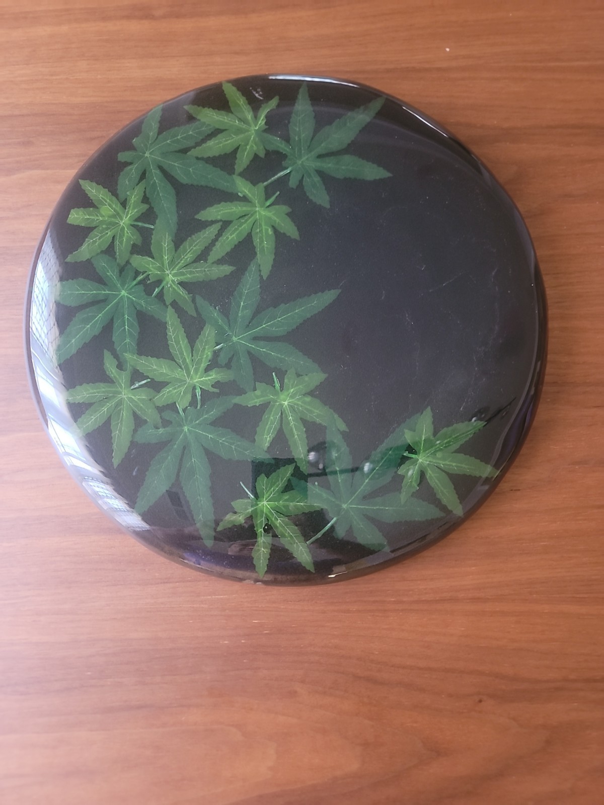 Wall Decord Art ,artificial cannabis Leaf With Resin Epoxy 14 Wall Decord Art ,artificial cannabis Leaf With Resin Epoxy 14