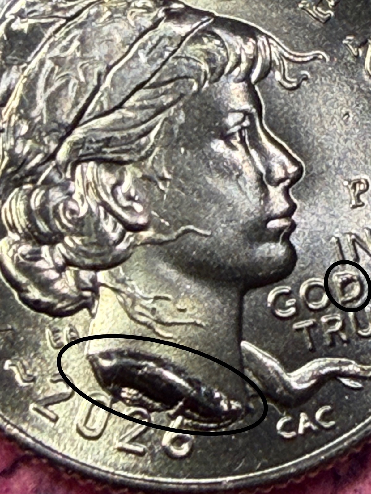 2026 Semisequincential Dime Error  Die Chips Rare Bust and D in God