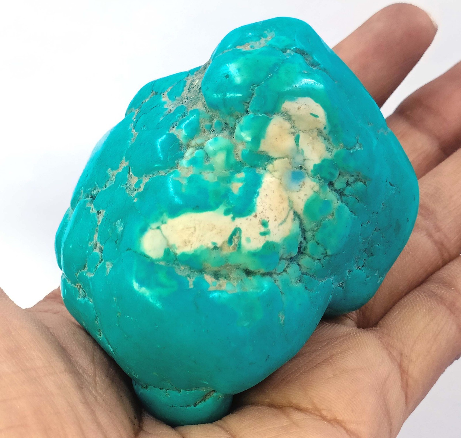 819.0 Ct Natural Sky-Blue Turquoise Tumble Rough EGL Certified Loose Gems 6YHO