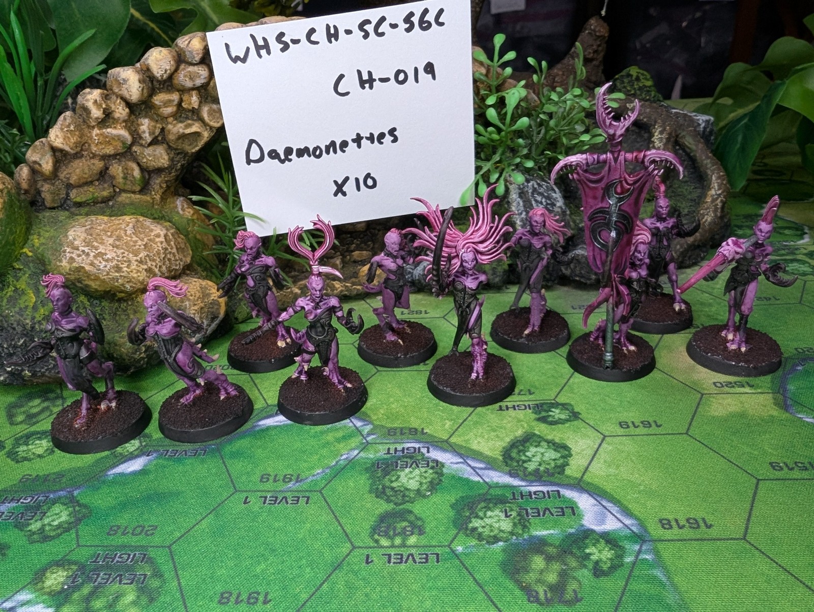 Daemonettes of Slaanesh CH-019 Professionally Painted Warhammer Daemonettes of Slaanesh CH-019 Professionally Painted Warhammer