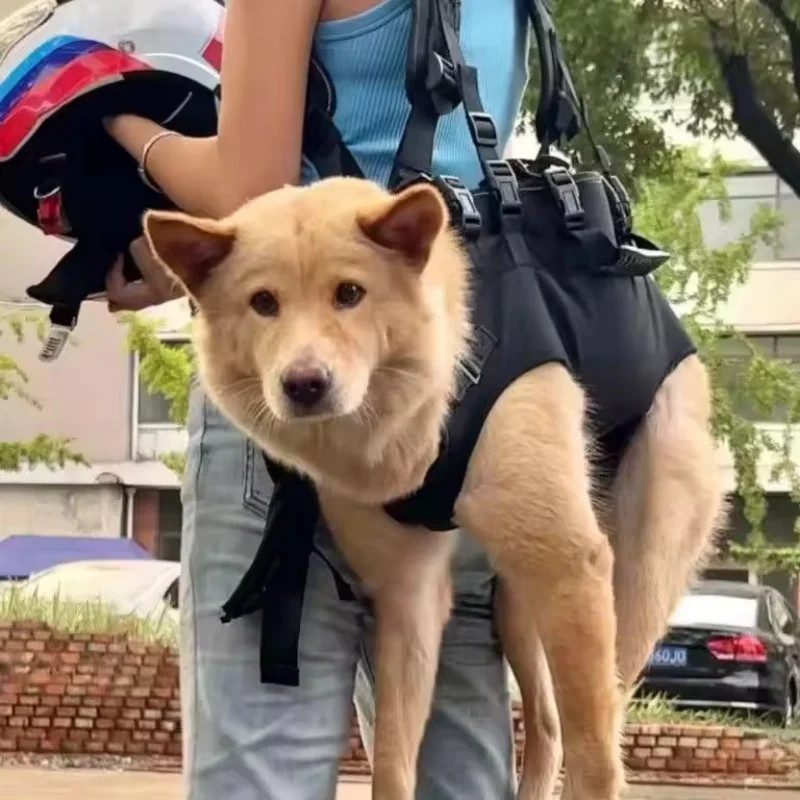 Pet Travel Backpack Carrier Dog Cat Shoulder Bag Breathable Oxford Fabric Comfor