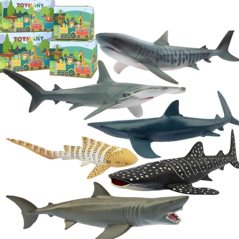 Toymany 6PCS 5-6\