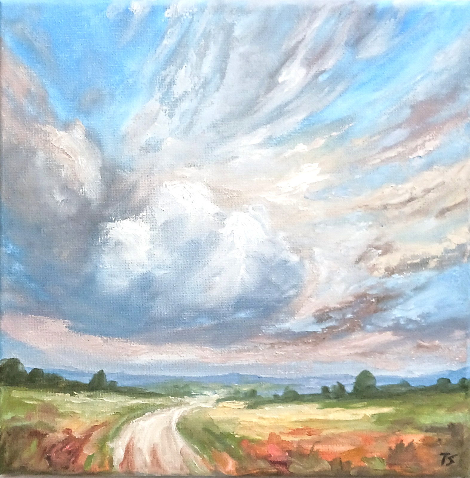 Landscape ORIGINAL Oil Painting Open Land Clouds Country Road Artwork 10