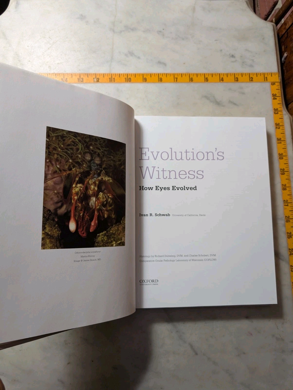 Evolution\'s Witness : How Eyes Evolved by Ivan R. Schwab 2012 Hardcover Book Evolution\'s Witness : How Eyes Evolved by Ivan R. Schwab 2012 Hardcover Book