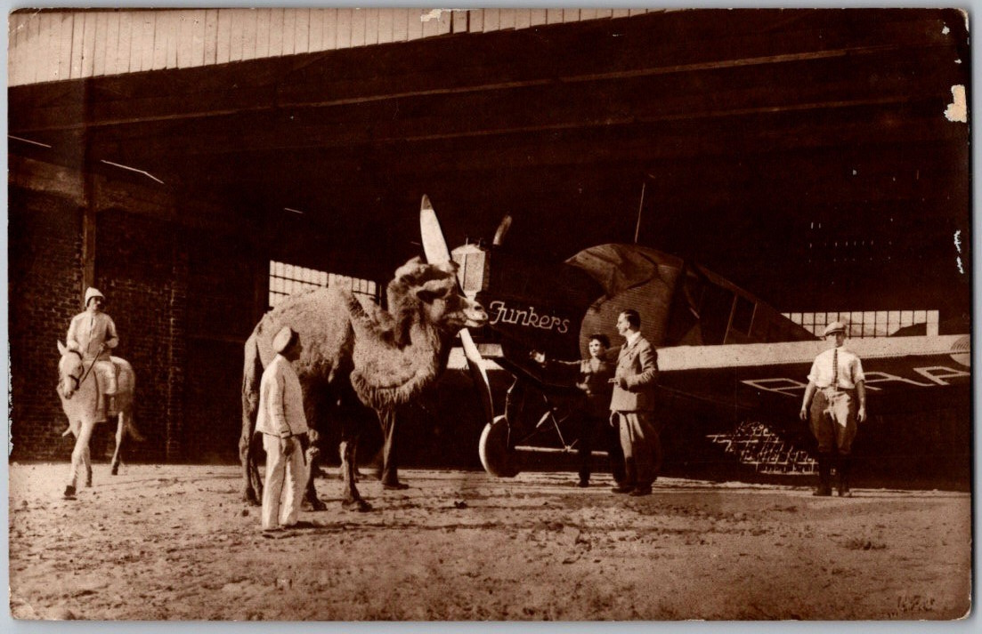Vintage 1925 Postcard w/ Early Junkers Airplane in Hangar & Dromedary Camel
