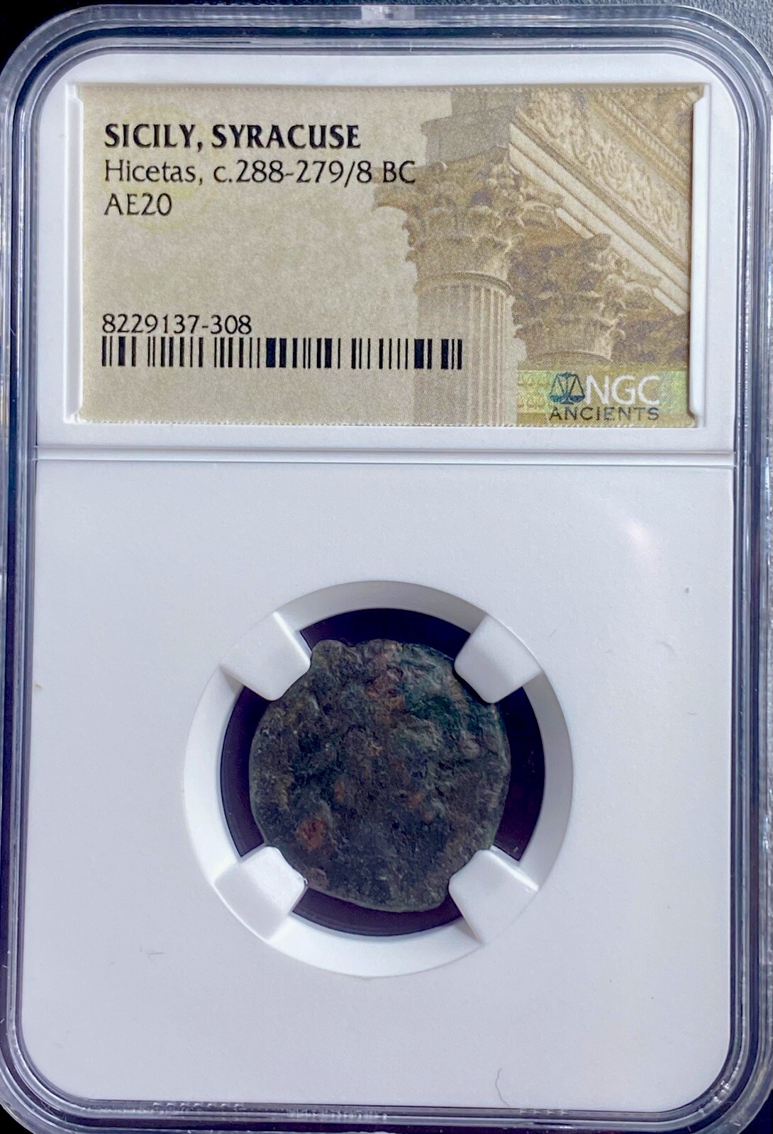 Sicily Syracuse Ancient Greek Rare Coin NGC Certified 288-278BC Hicetas