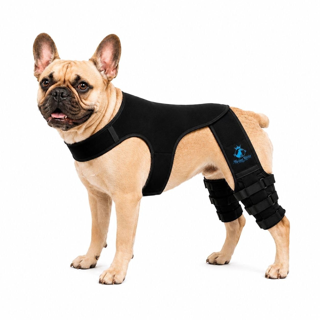 The Regal Rover Dog Rear Knee Brace for Small & Medium Breeds, Adjustable Hind M The Regal Rover Dog Rear Knee Brace for Small & Medium Breeds, Adjustable Hind M