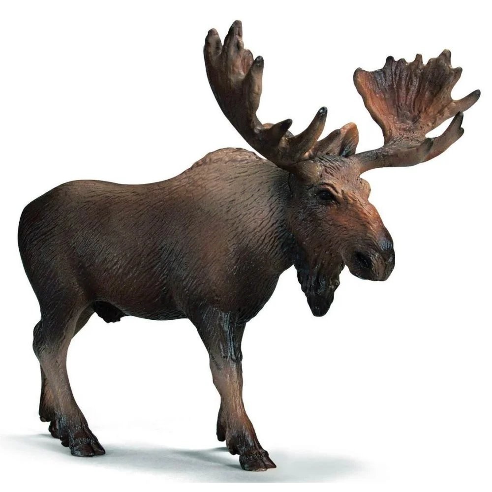 NEW Schleich 14310 Moose wild life figurine animal replica figure RETIRED toy