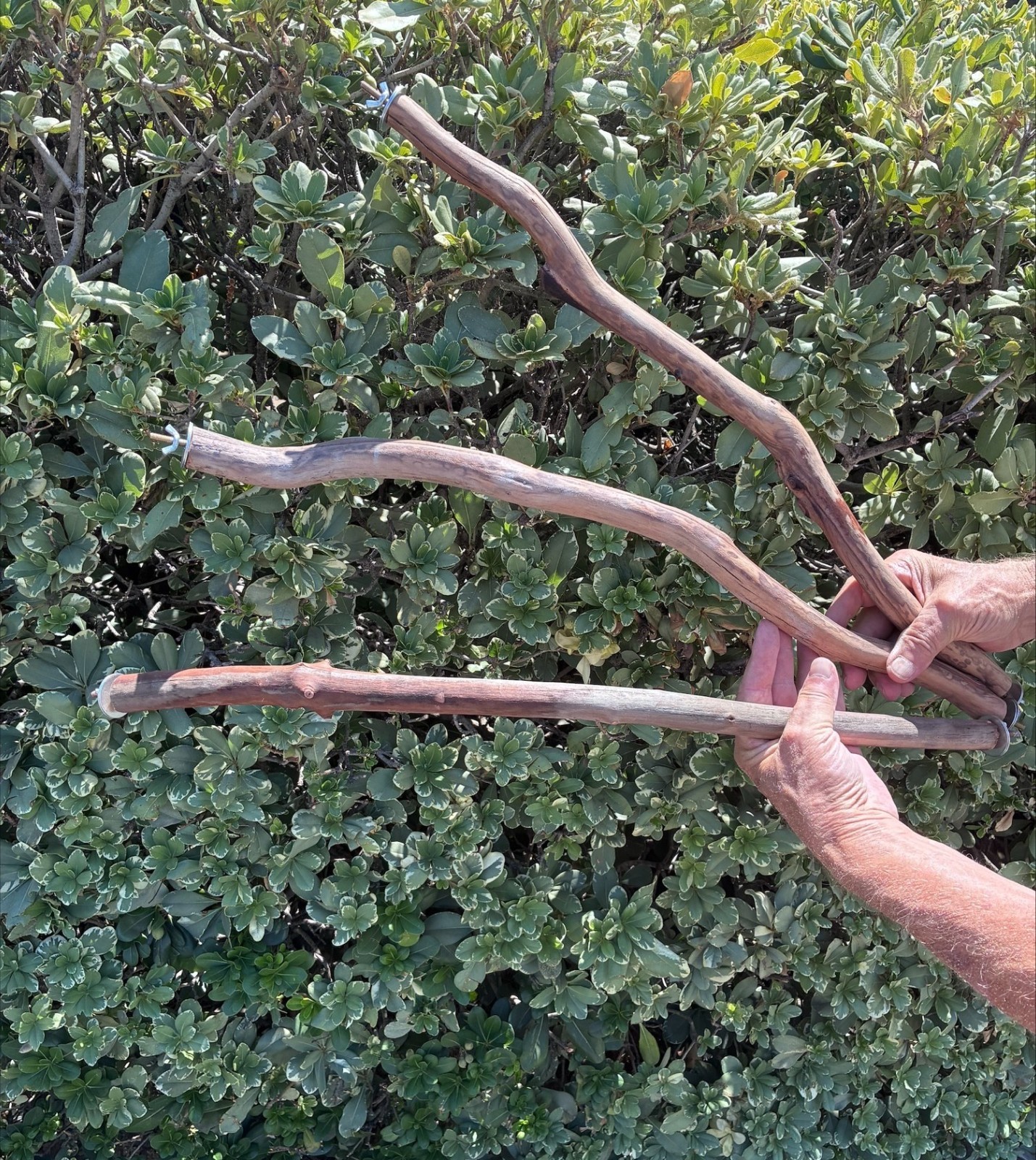 Bird Parrot Cage Perch Manzanita Wood Branch 3 Piece  24\