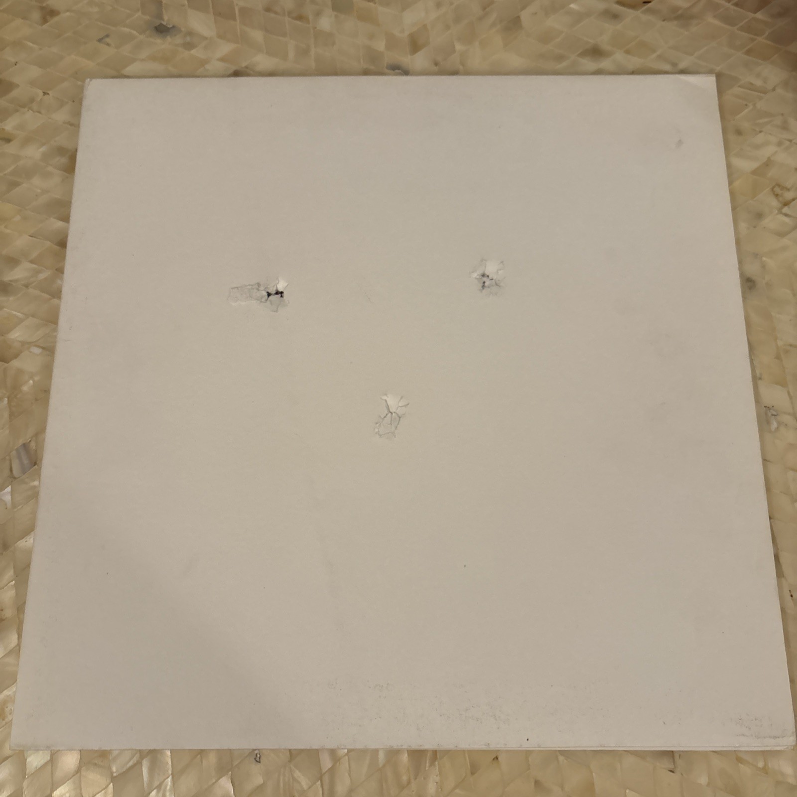 The Muslims - The Muslims Vinyl LP - The Soft Pack - Bullet Holes In Sleeve
