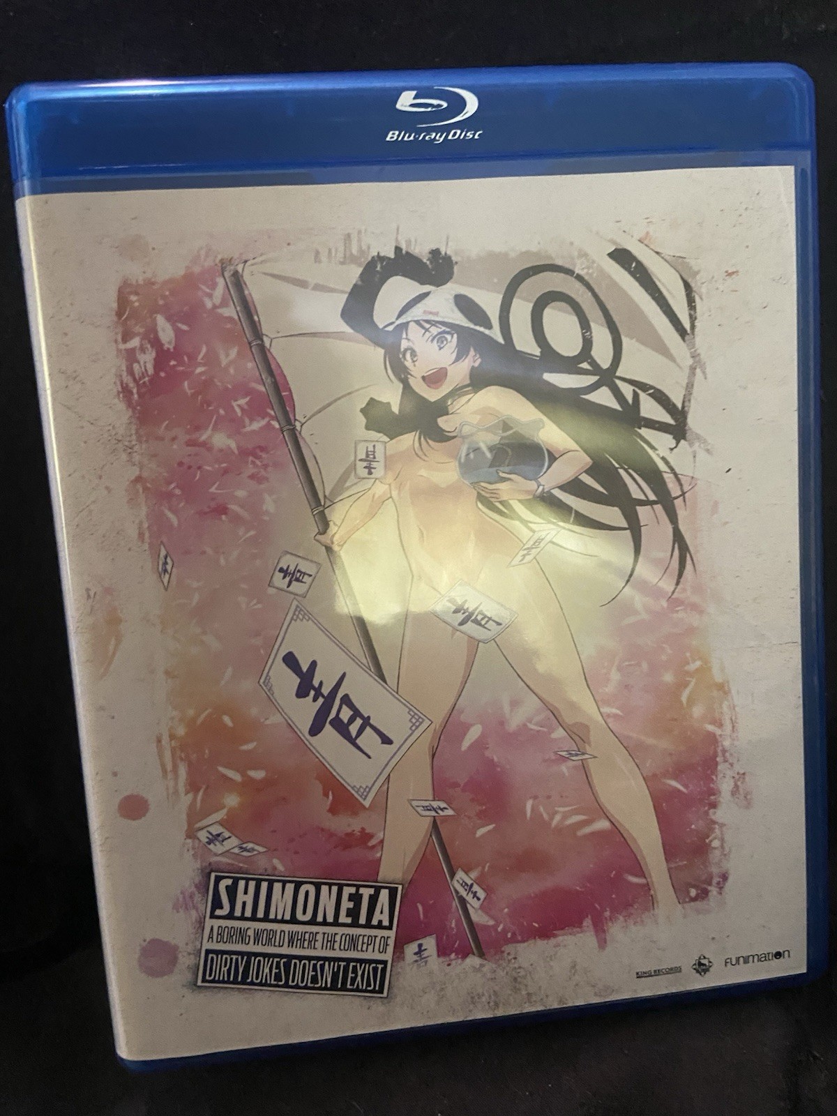 Shimoneta Anime Complete Series Blu Ray DVDs