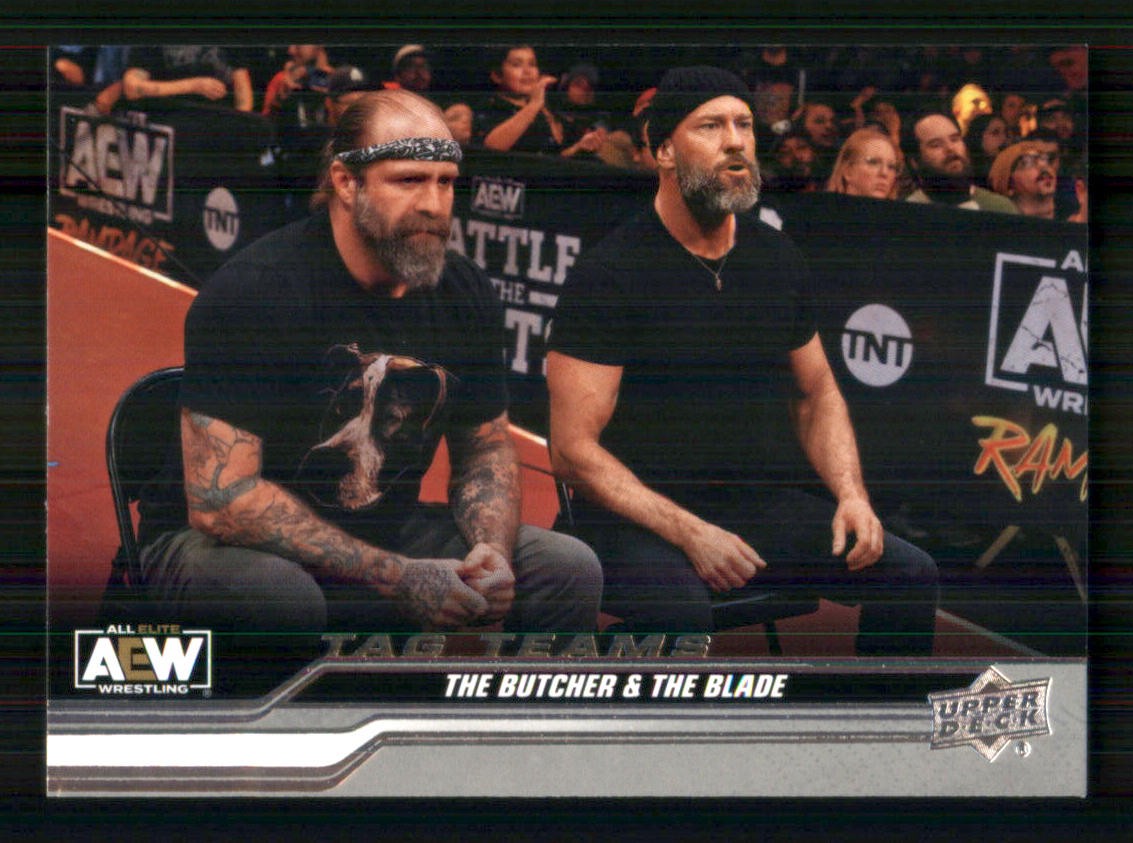 2024 Upper Deck AEW #82 The Butcher / The Blade 11825