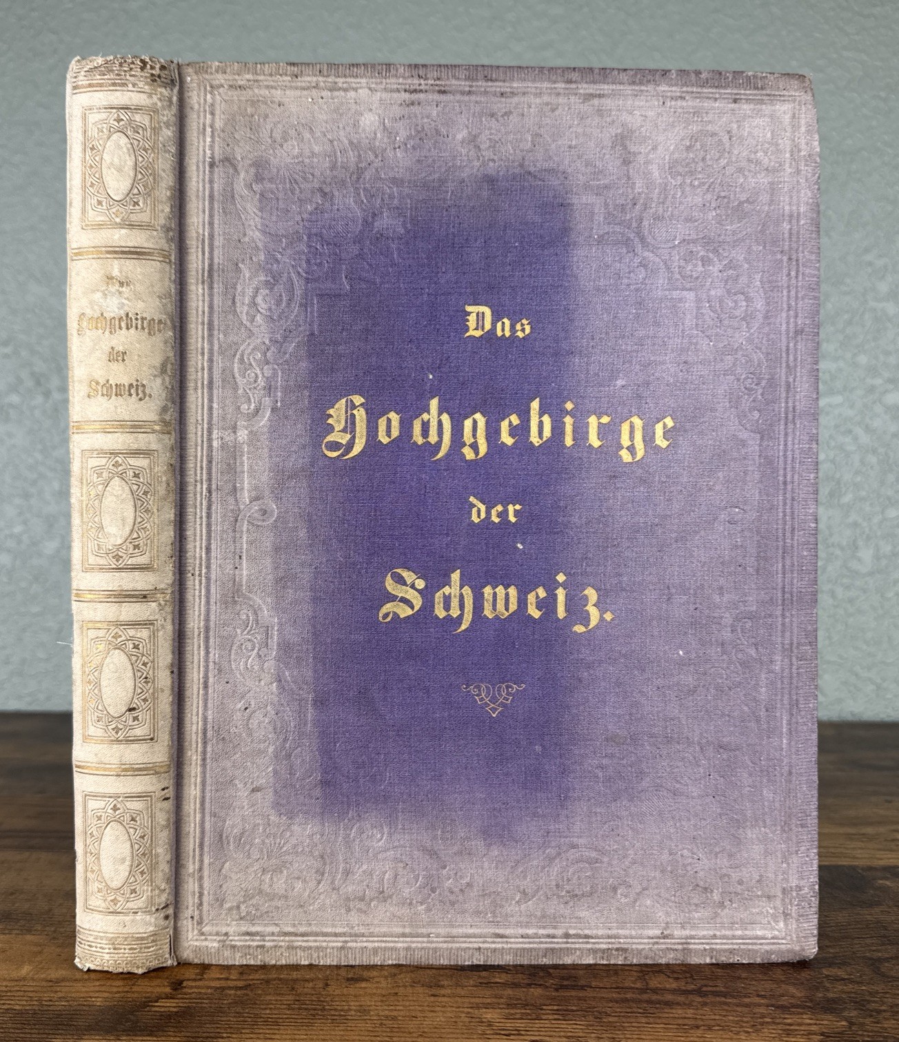 ANTIQUE 1868 GERMAN ALPINE PHOTOGRAPHY BOOK: DAS HOCHGEBIRGE DER SCHWEIZ