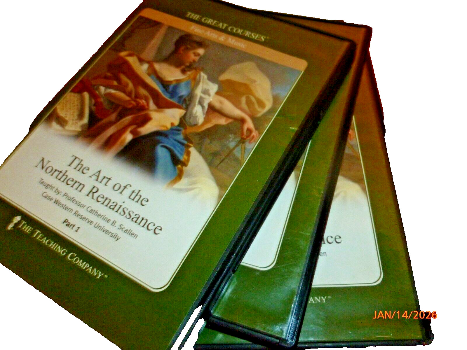 Great Courses Art of the Northern Renaissance DVDs & Guidebook Parts 1-3 VG