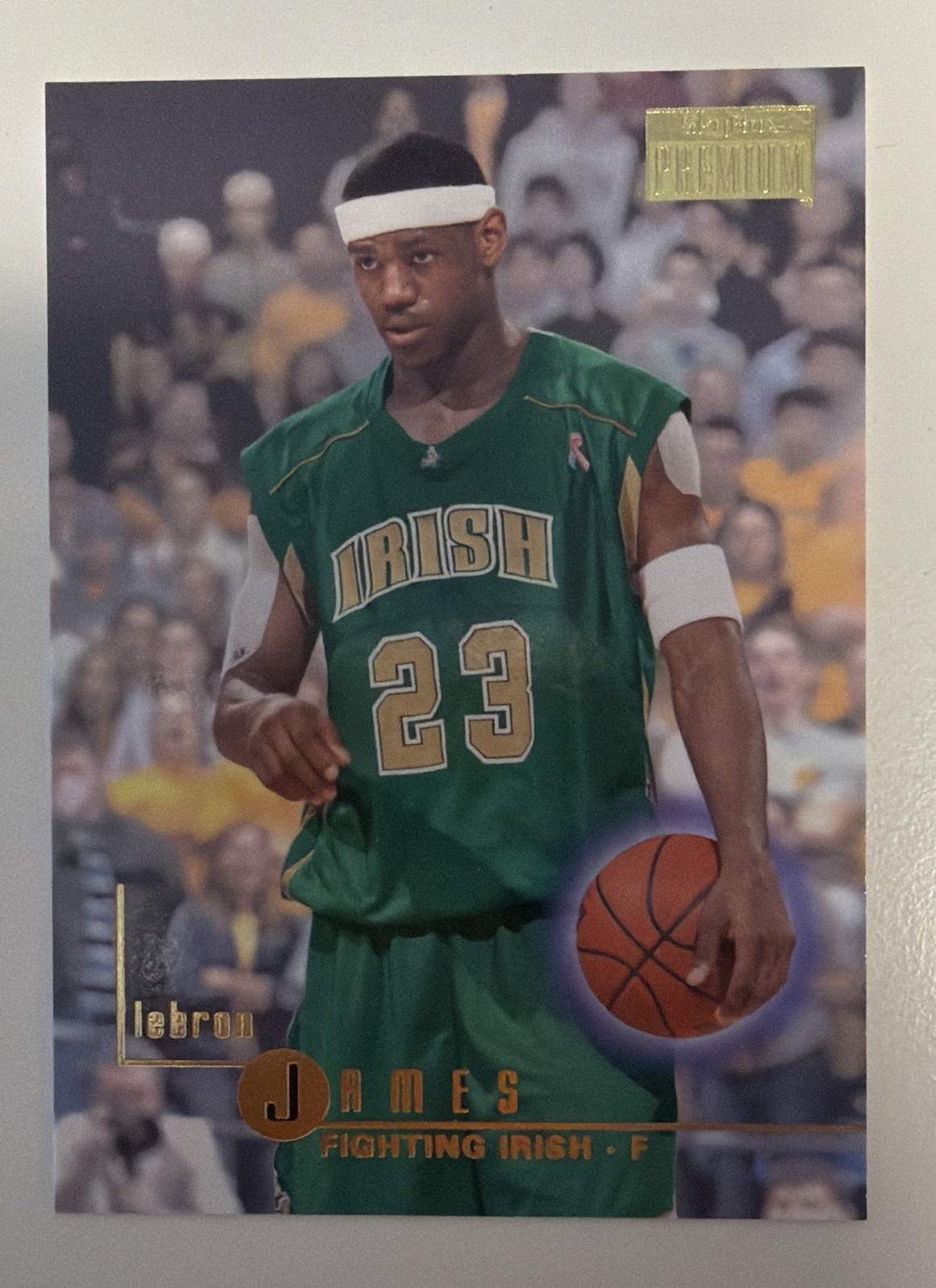 LEBRON JANES 2013-14 Fleer Retro Skybox Basketball #109
