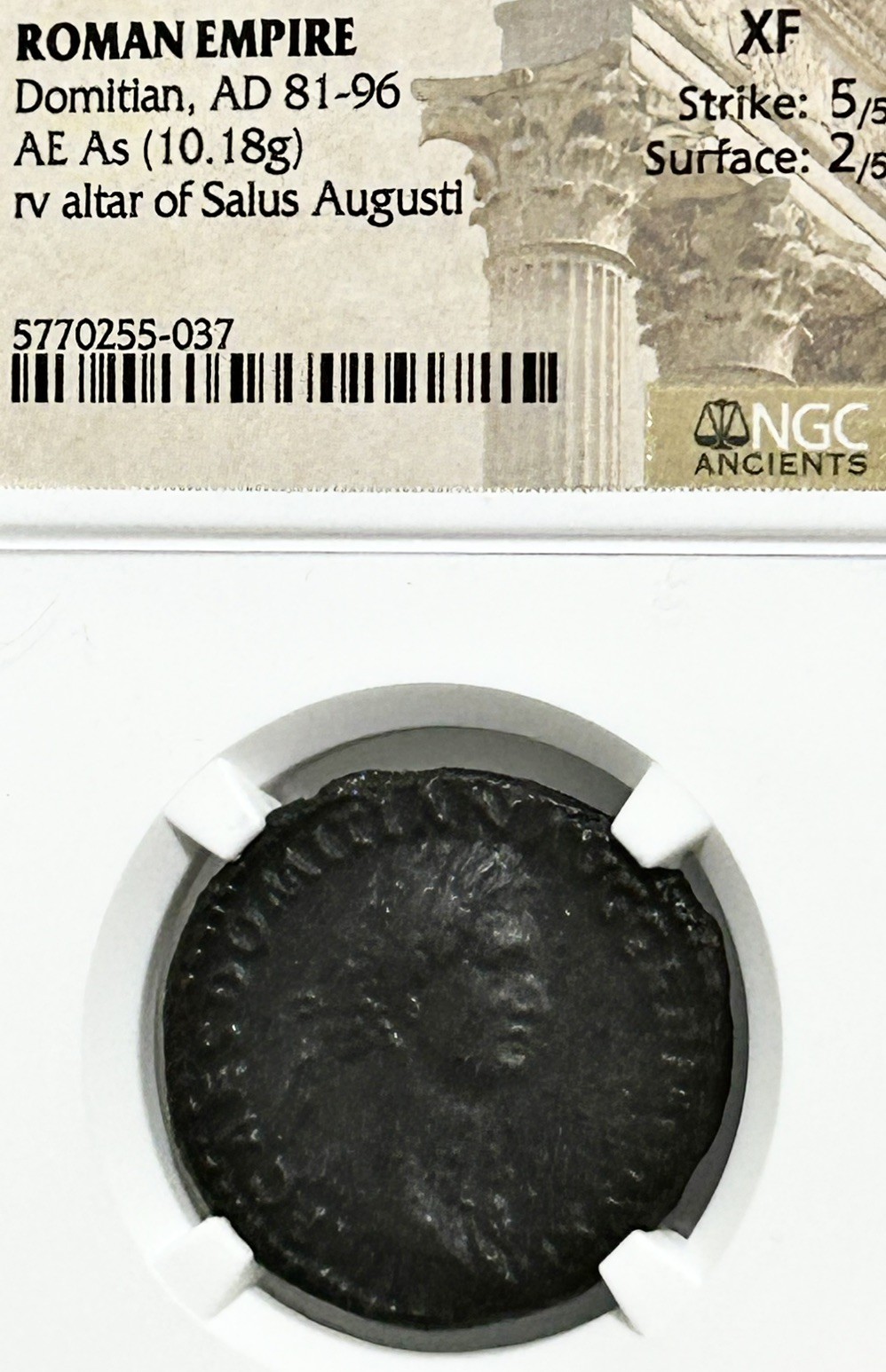 Domitian AD 81-96 AE As NGC XF 5/5 2/5 Altar of Salus August