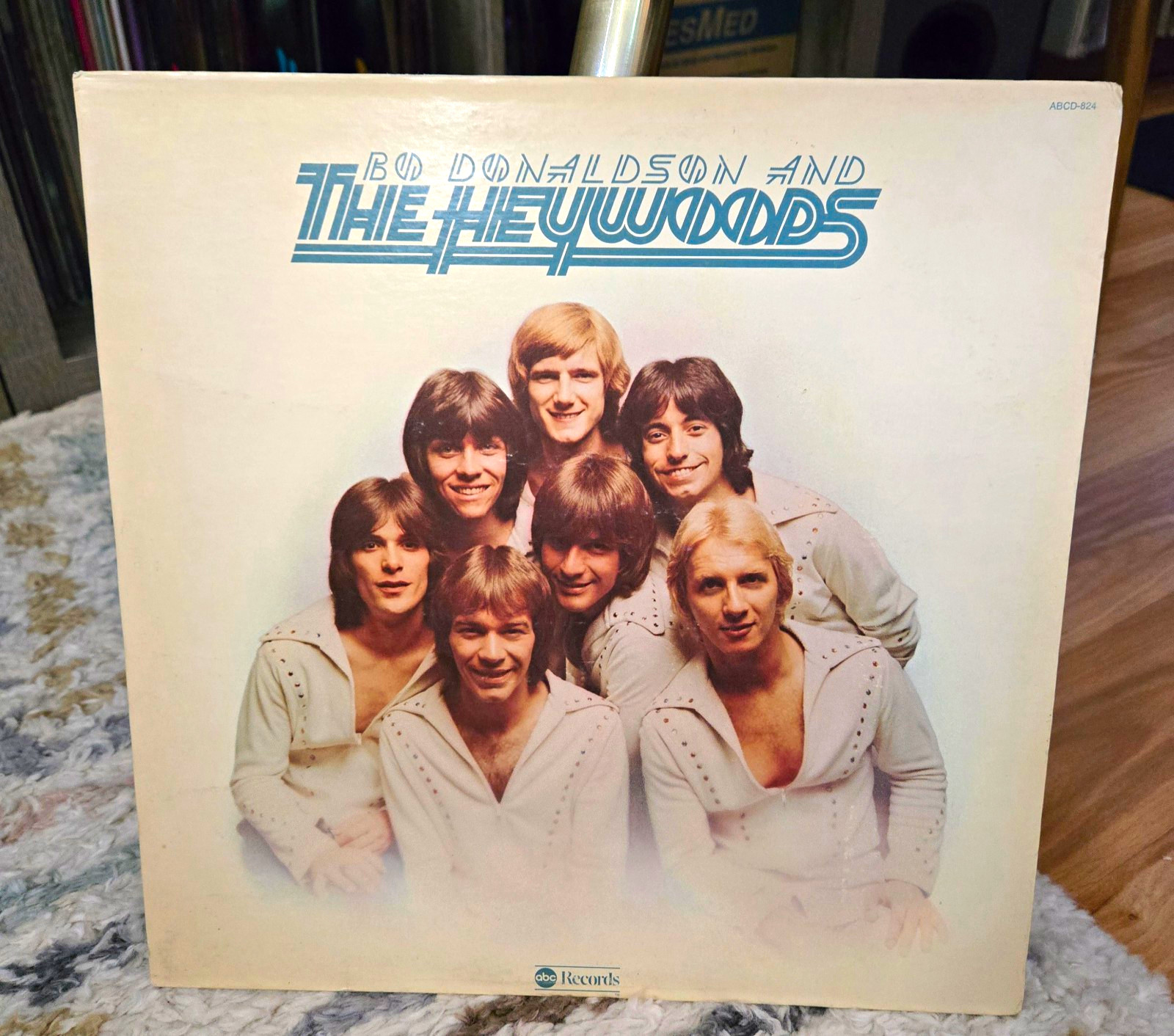 Bo Donaldson and The Heywoods 