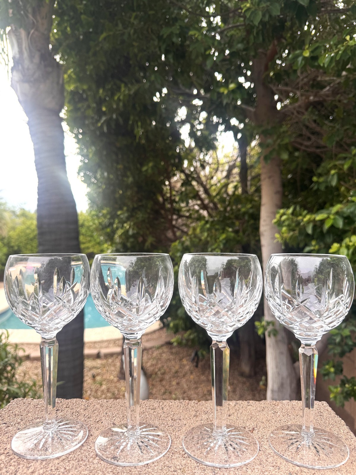 Rare Waterford Crystal Araglin Hock Wine Seahorse Mark Faceted Stem 7 3/8\