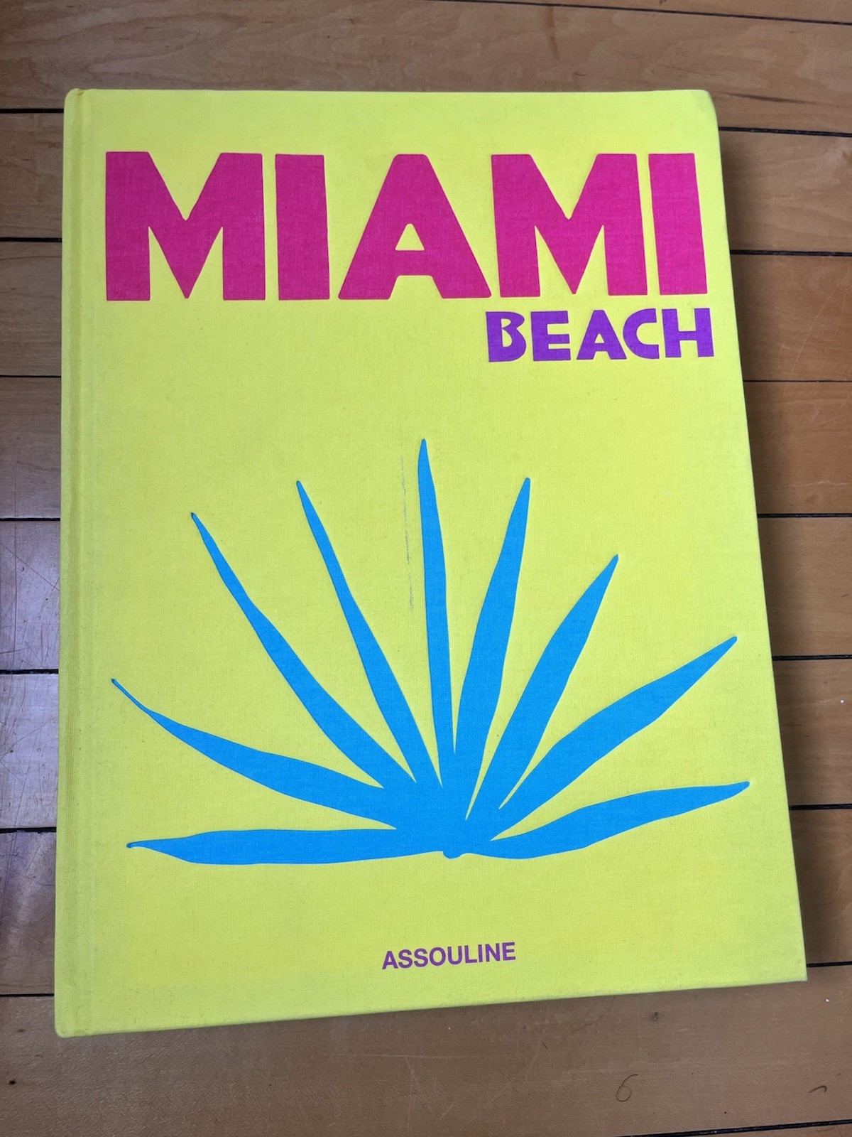 Assouline Publishing - Miami Beach by Horacio Silvia - Coffee Table Book Travel