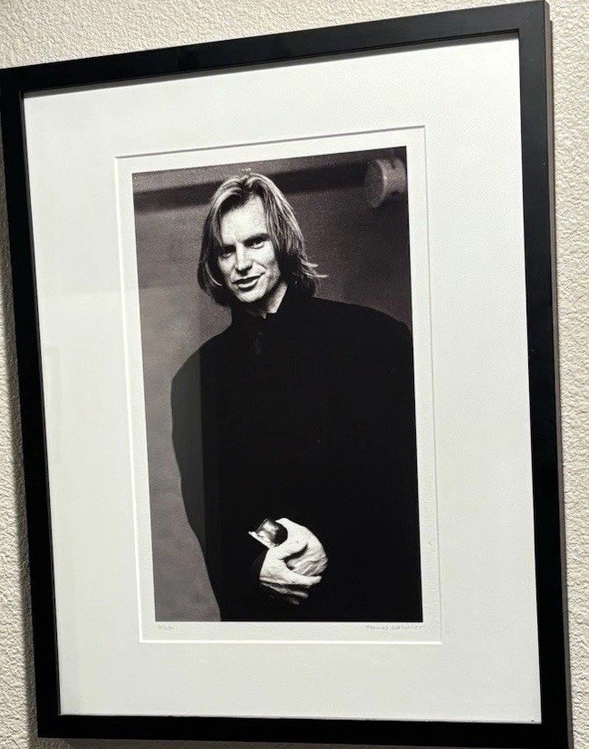 Sting The Police Signed Thomas Weschler Photo 6/250 Limited Edition Framed