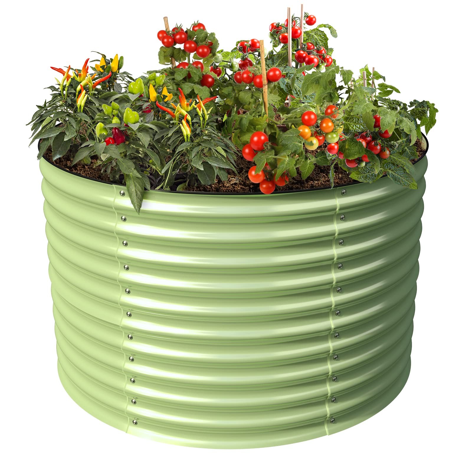 OLLE Garden 32\