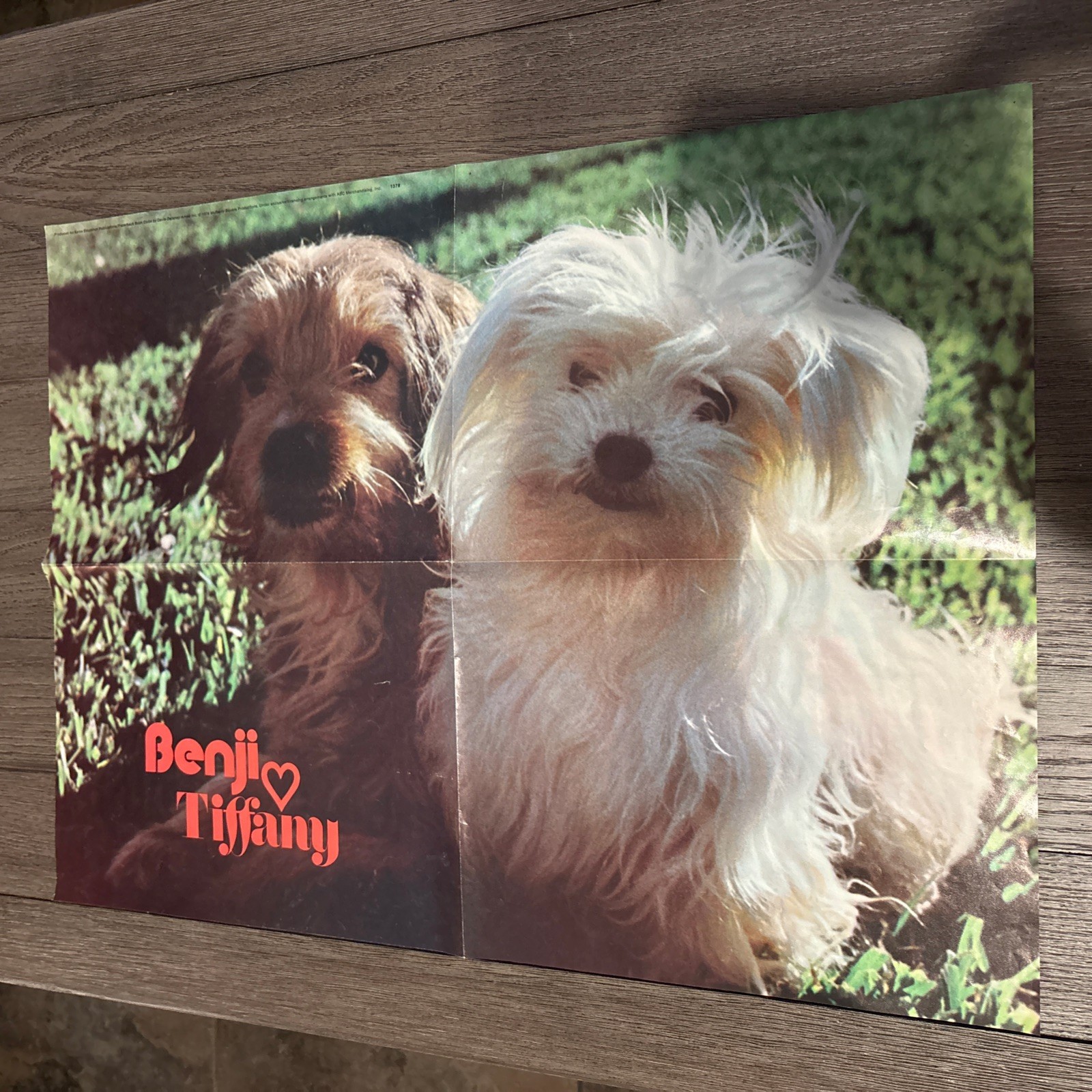 Vintage 1974 Benji and Tiffany Poster Print