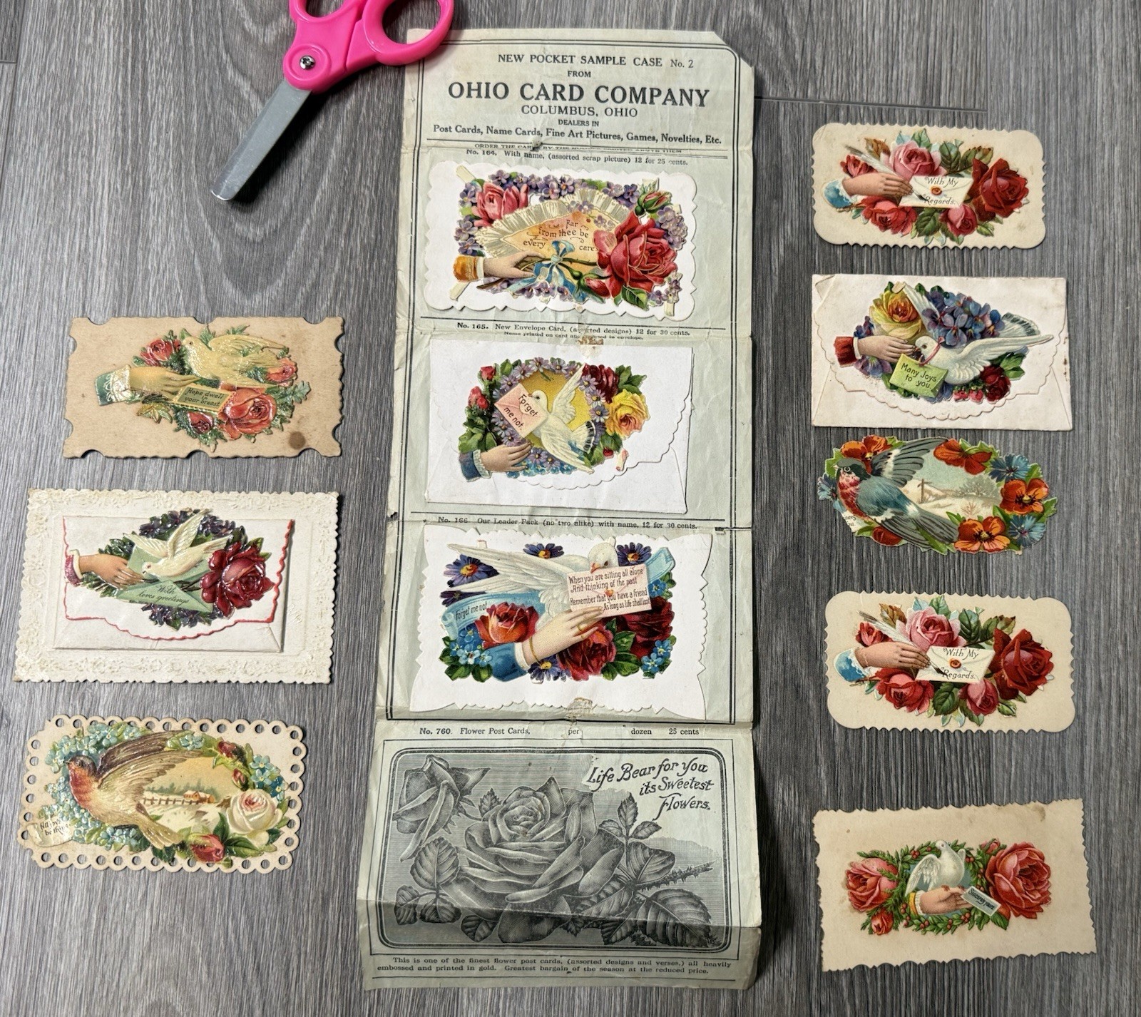 Antique Victorian Salesman Sample Folder Ohio Card Co Columbus Hidden Names Lot Antique Victorian Salesman Sample Folder Ohio Card Co Columbus Hidden Names Lot