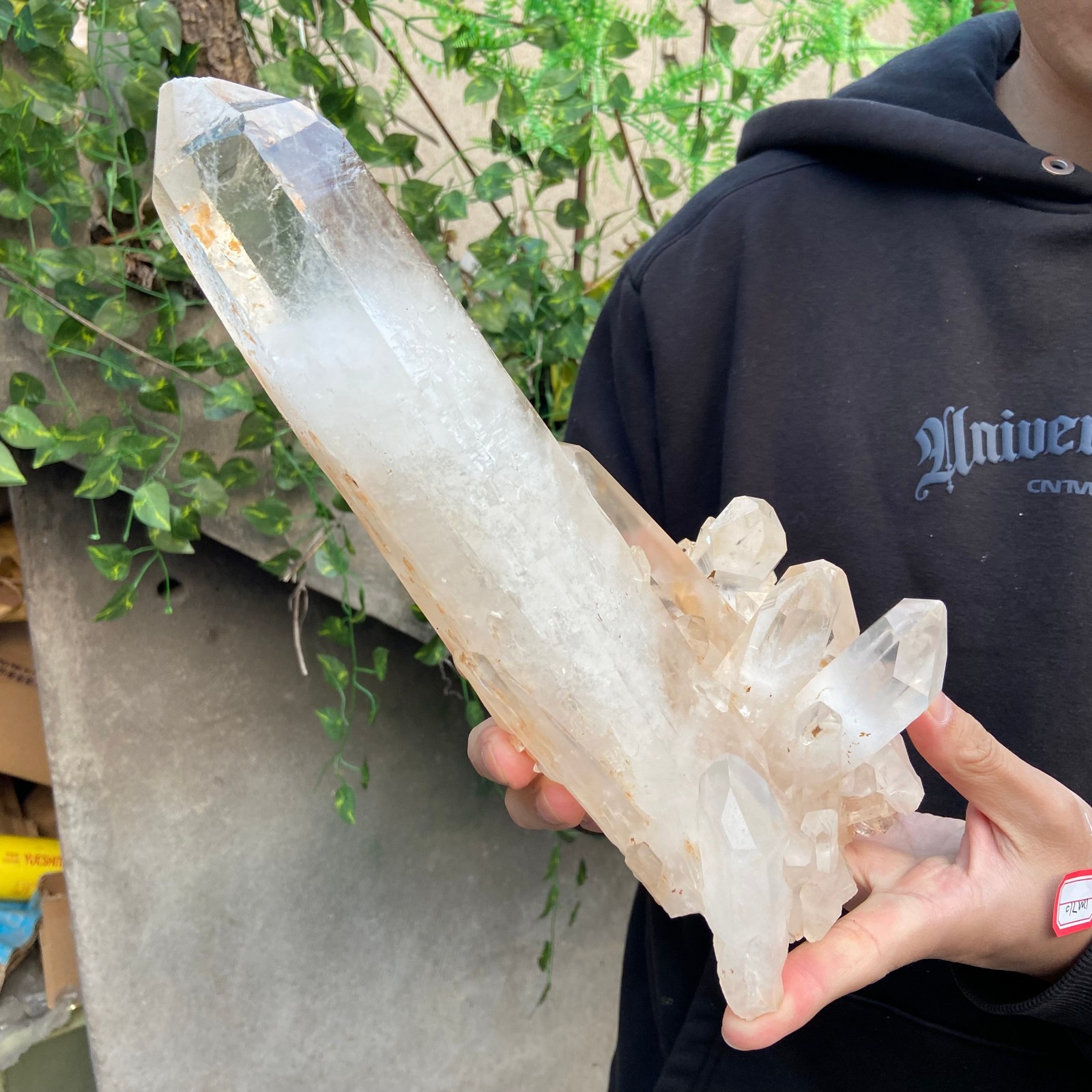 5.1lb Natural Clear White Quartz Crystal Cluster Rough Healing Specimen