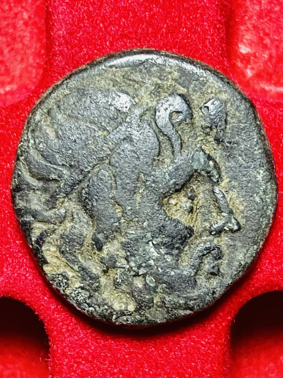Roman Protectorate AE 20 Macedonia 168-167 BC, POSEIDON, REPUBLIC, VERY RARE, VF