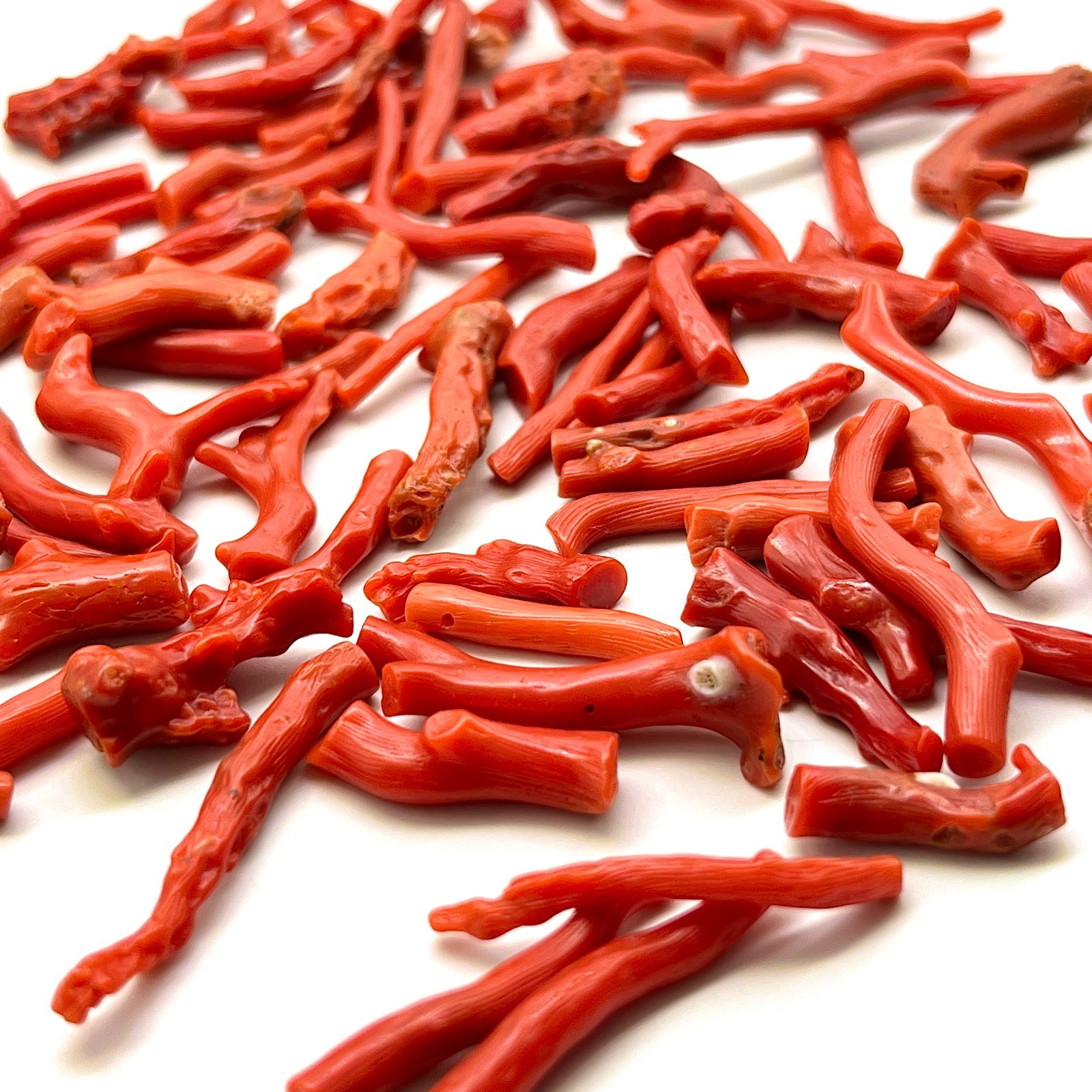 Natural Polished Coral Branch Rough – 50 Carats Raw Coral Specimen