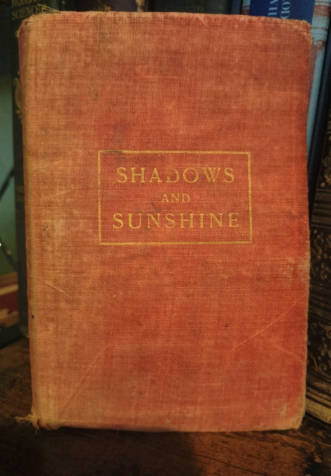 Shadows And Sunshine Eliza Suggs African American Women Disabled Nebraska 
