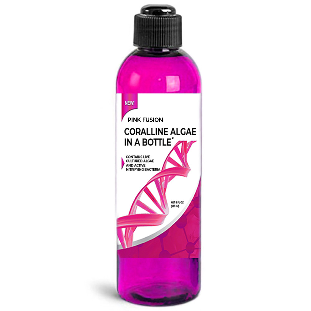Coralline Algae in a Bottle ® + Nitrifying Bacteria & Coraline - Pink Fusion