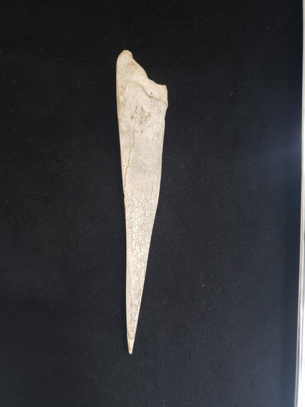 Antique Native American Indian Hand Carved Deer Awl Artifact 8 Inches