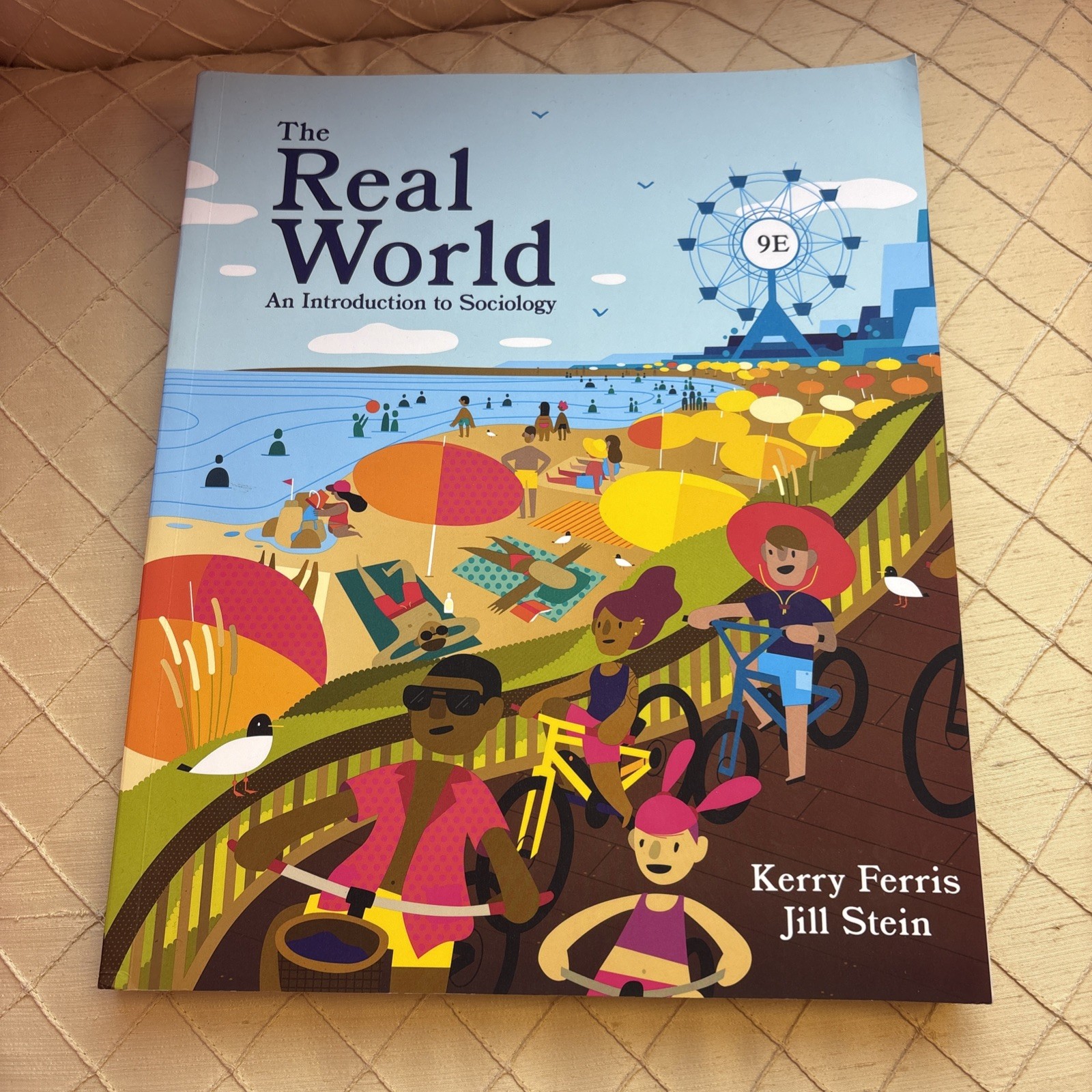The Real World: An Introduction to Sociology The Real World: An Introduction to Sociology