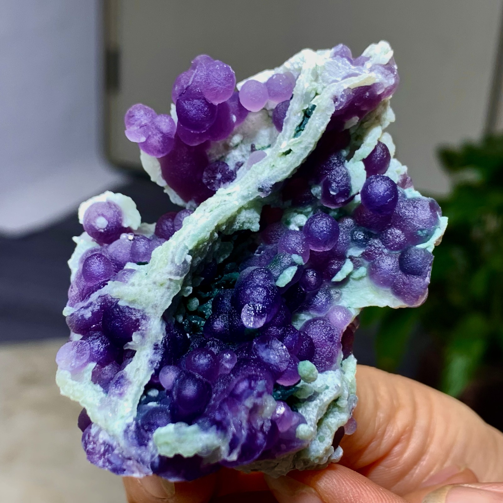 67G Natural purple grape agate quartz crystal granular mineral specimen-