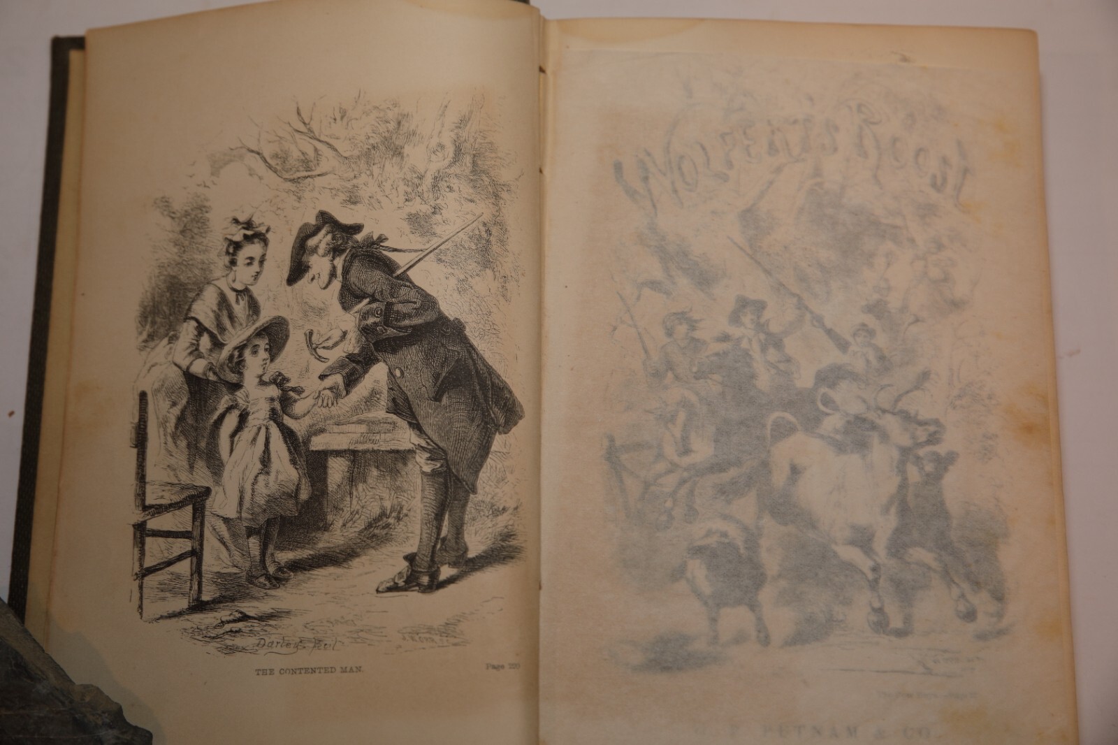Washington Irving / Wolfert\'s roost and other papers now first collected 1855 Washington Irving / Wolfert\'s roost and other papers now first collected 1855