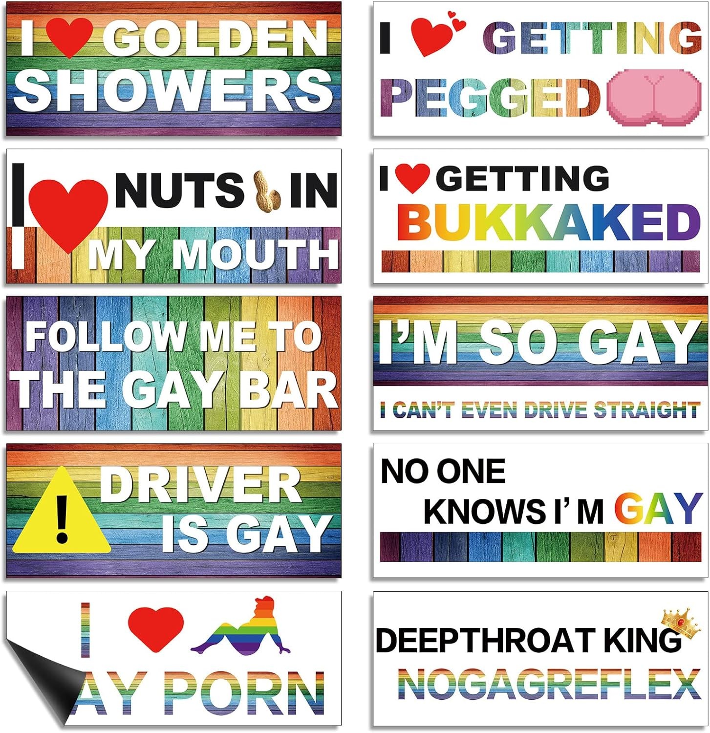 Frienda 10 Pcs Bumper Decals Funny LGBT Stickers Magnetic, Classic Style 