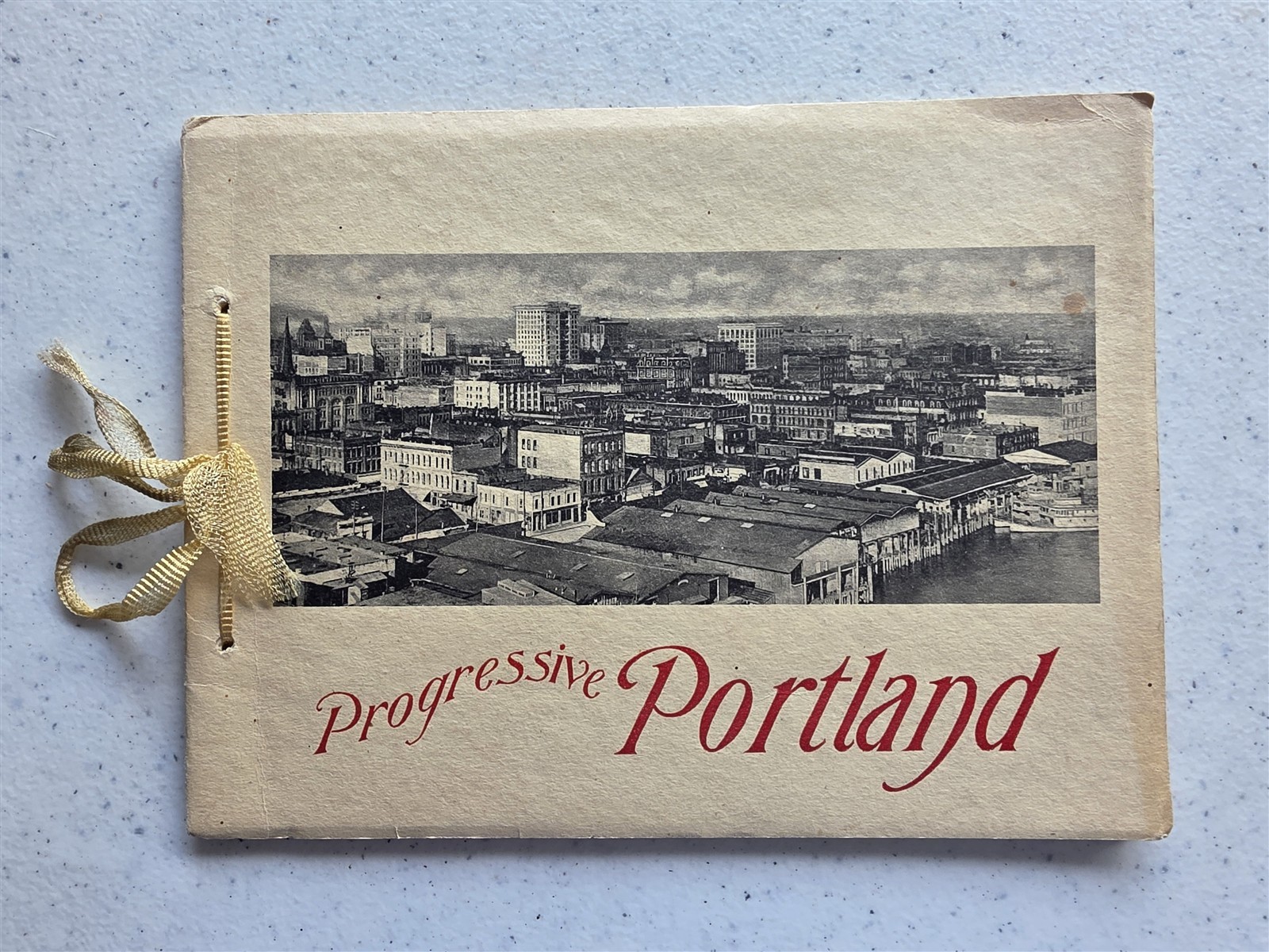 Progressive Portland Oregon, Antique c1910 Portfolio of Photos, 16 Photogravures