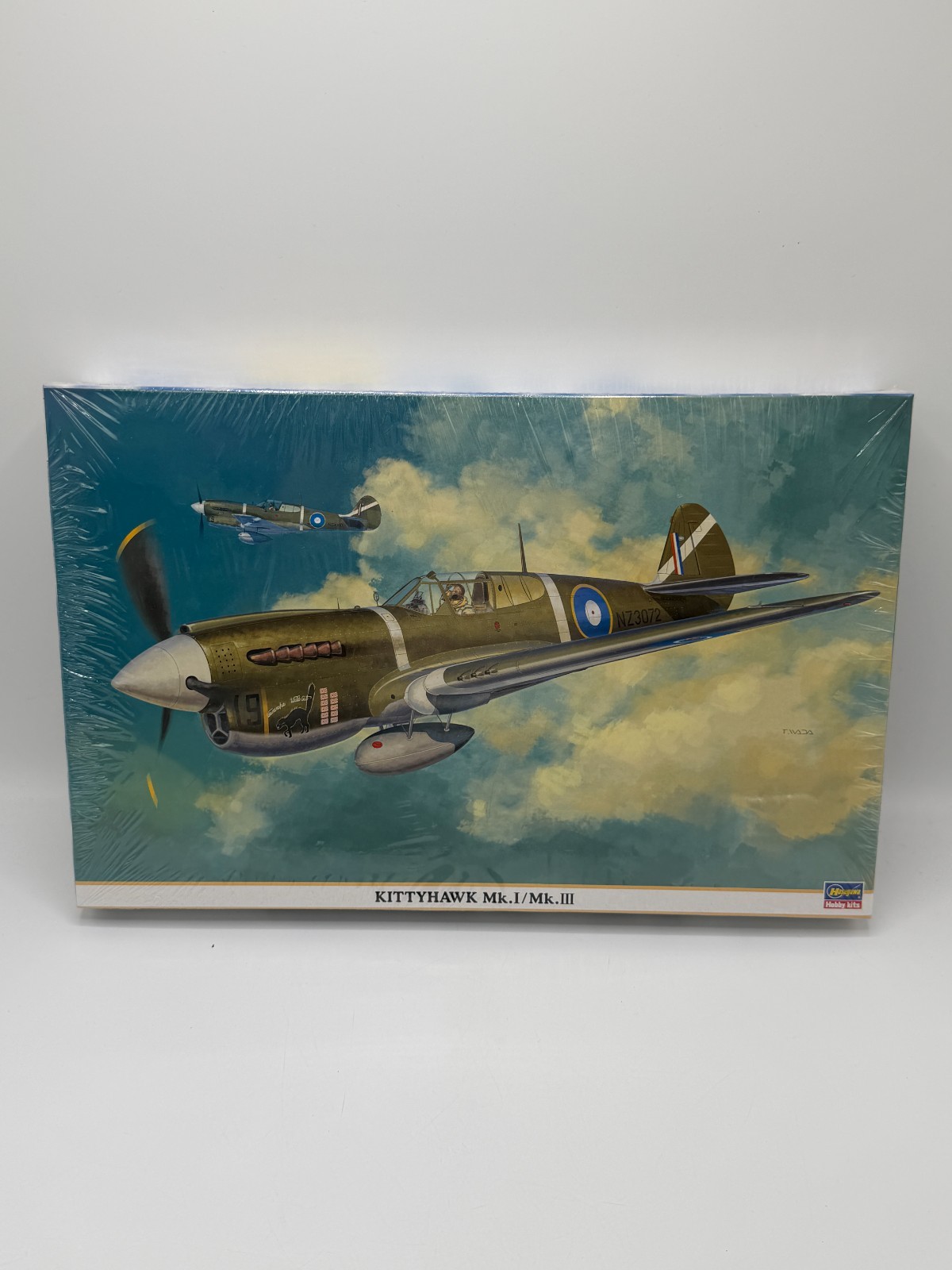 Hasegawa 1/48 Scale Model ~ KITTYHAWK Mk.III