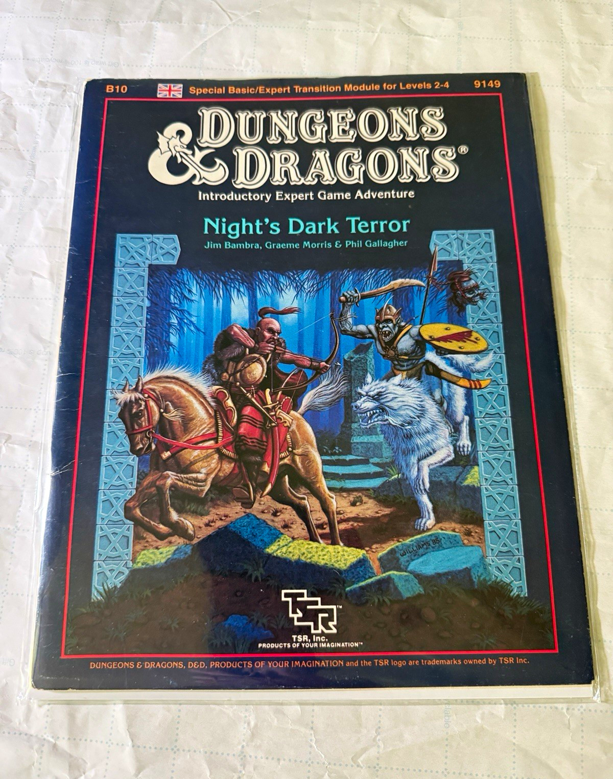 TSR Dungeons & Dragons B10 Night\'s Dark Terror Module 1986 9149