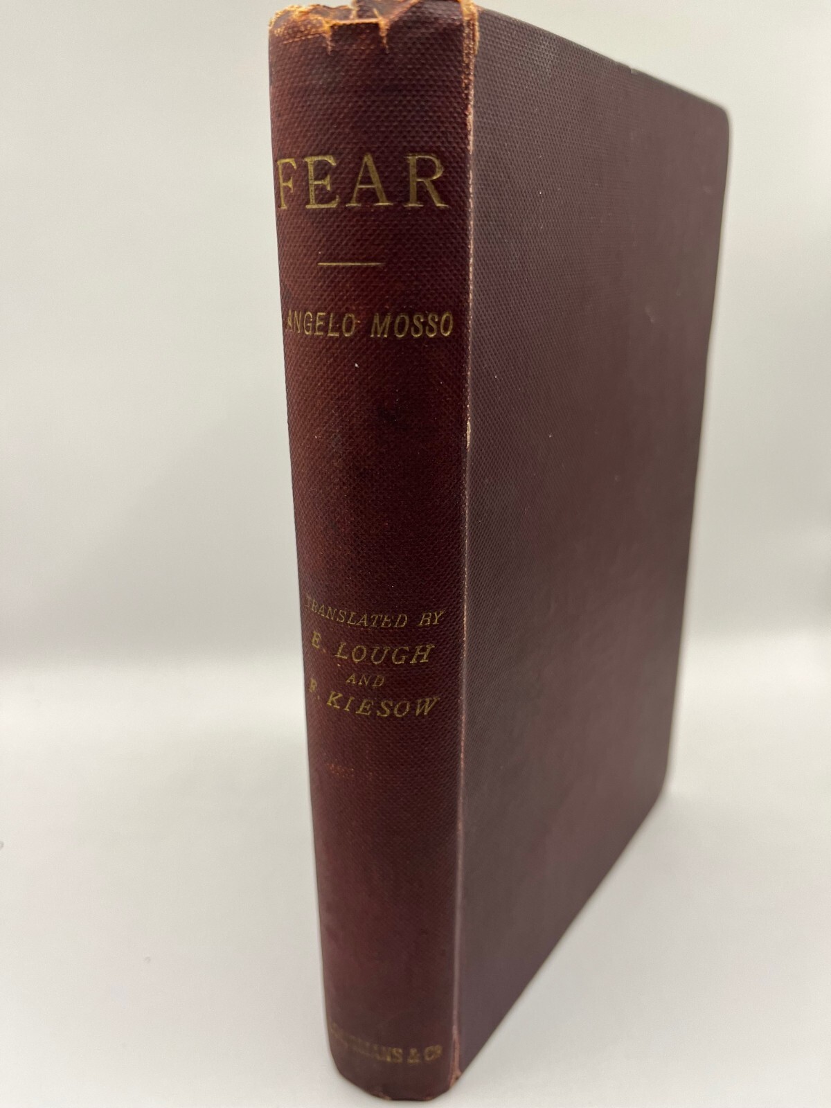 FEAR ~ Angelo Mosso, 1896 antique rare book, Psychophysiological