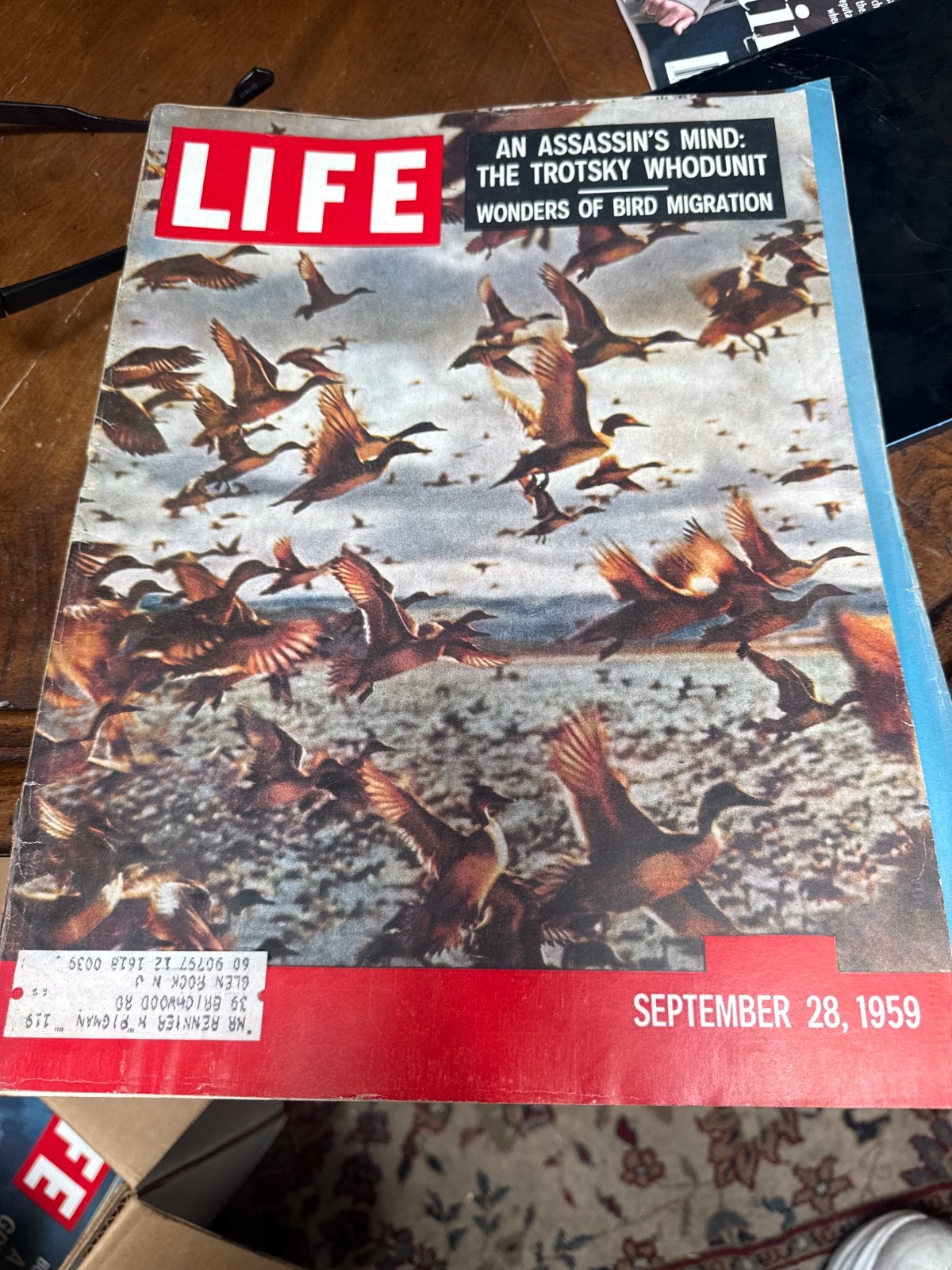 Life magazine, September 28, 1959 wonders of bird migration very good condition