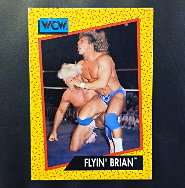 Impel 1991 WCW Flyin' Brian #64 Wrestling Sports Trading Card English Vintage