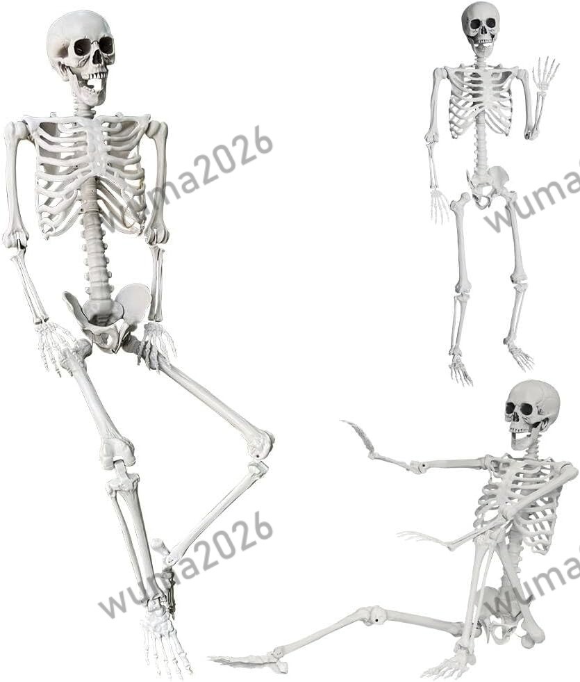 5.4Ft/165cm Halloween Skeleton Full Body Life Size Human Bones with Movable Join 5.4Ft/165cm Halloween Skeleton Full Body Life Size Human Bones with Movable Join
