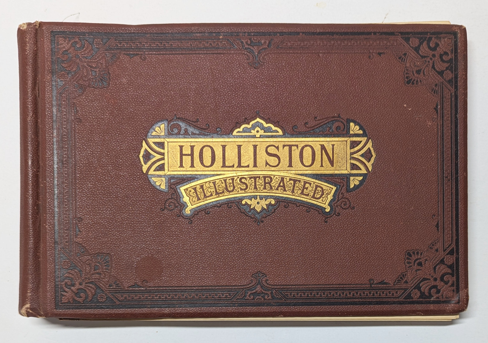 c.1890 Holliston Illustrated, Massachusetts - 25 Views **RARE ANTIQUE ORIGINAL